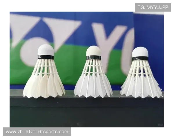 羽毛球训练测试 羽毛球训练测试