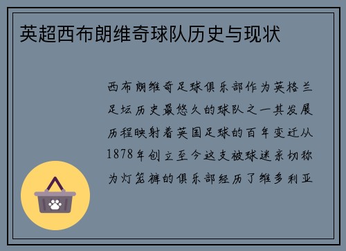 英超西布朗维奇球队历史与现状